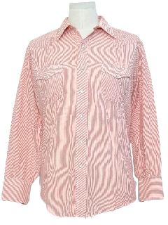 1980's Mens Pinstriped Western Shirt